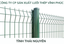 Hàng rào lưới thép tại Thái Nguyên