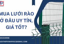 Mua Lưới Rào Ở Đâu Uy Tín, Giá Tốt?
