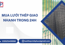 Mua Lưới Thép Giao Nhanh Trong 24h
