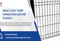 Mua Lưới Thép Hàng Rào Giá Rẻ Ở Đâu?