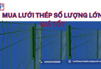 Mua Lưới Thép Số Lượng Lớn Giá Tốt