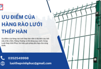 Ưu Điểm Của Hàng Rào Lưới Thép Hàn