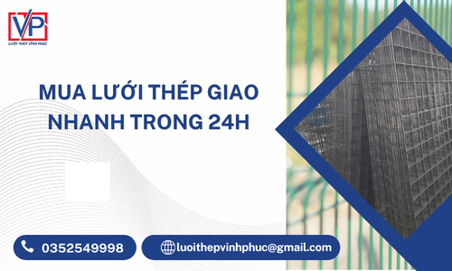 Mua Lưới Thép Giao Nhanh Trong 24h