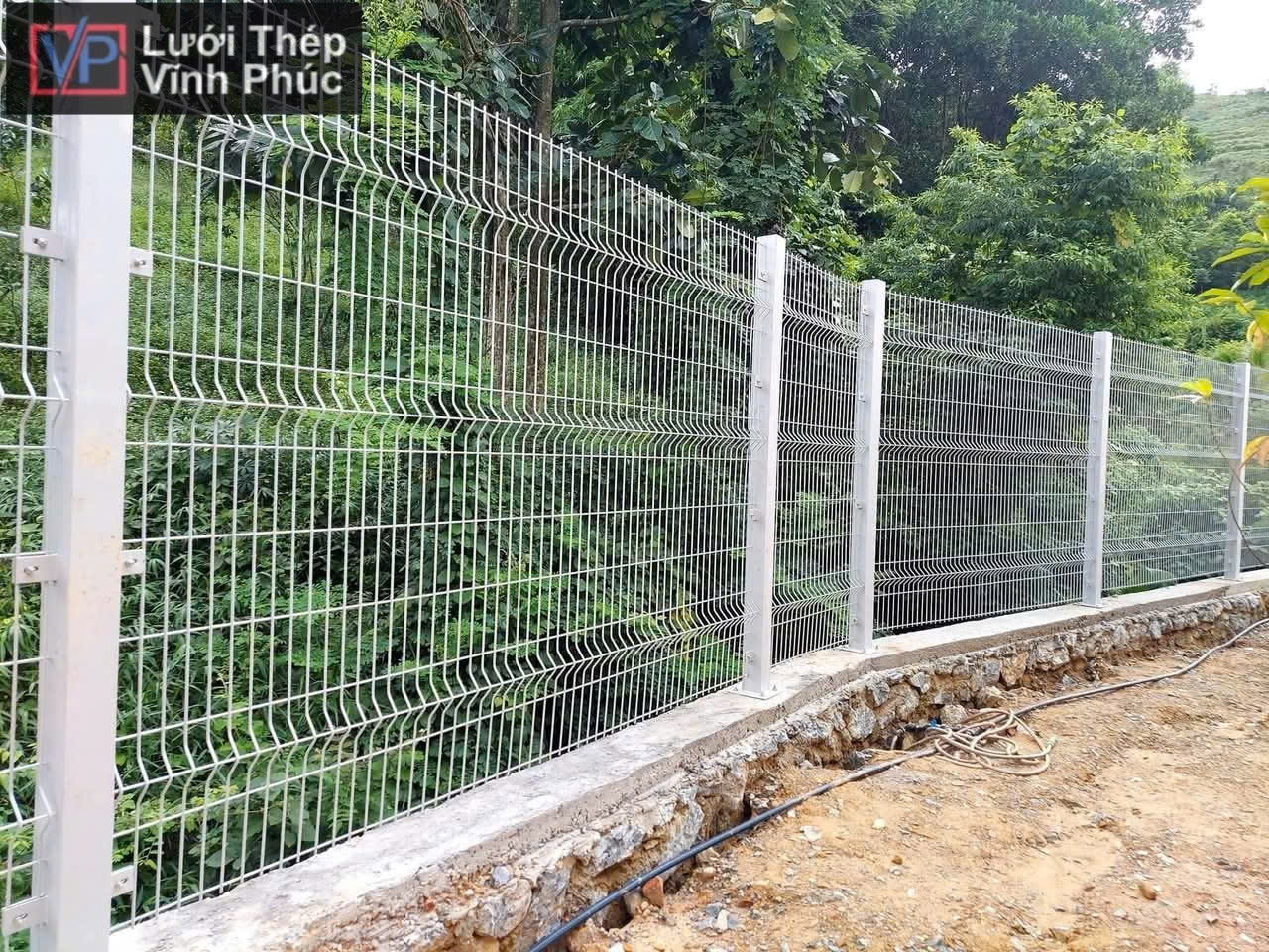 Hàng rào lưới thép tại Phú Thọ 