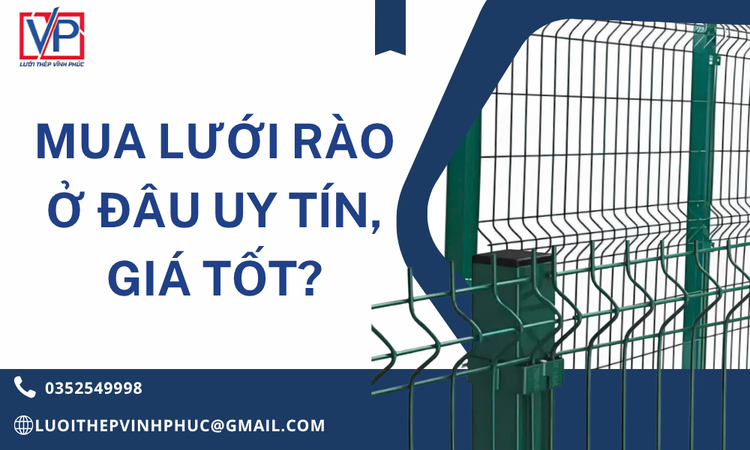 Mua Lưới Rào Ở Đâu Uy Tín, Giá Tốt? Kinh Nghiệm Chọn Đơn Vị Cung Cấp Chất Lượng